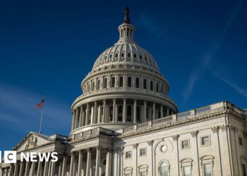 US House votes to end partial government shutdown after 76 days