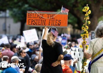US government watchdog to investigate Epstein files release