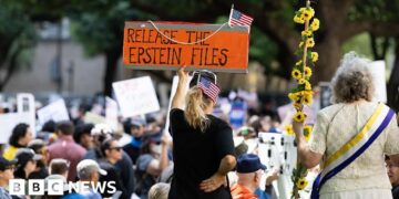 US government watchdog to investigate Epstein files release
