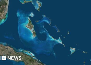 US man arrested in case of Michigan woman's disappearance in Bahamas