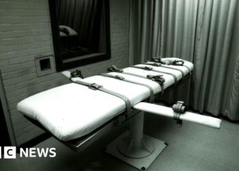US to allow firing squads, gas, and electrocution for federal executions