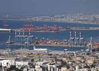 Ukraine accuses Israel of receiving shipments of grain 'stolen' by Russia