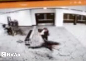 Video shows correspondents' dinner suspect charge checkpoint