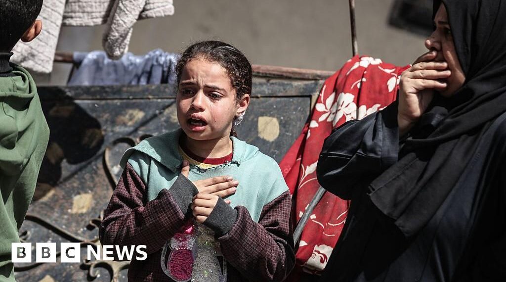 WHO suspends Gaza medical evacuations after contractor killed by Israeli troops