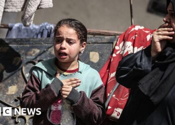 WHO suspends Gaza medical evacuations after contractor killed by Israeli troops