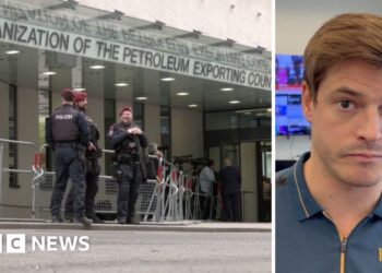 Watch: Why has the UAE left Opec