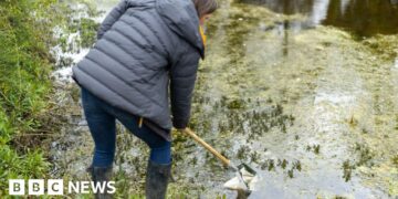 Water and wildlife return to farmland ponds