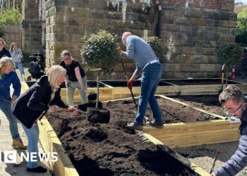 Wellbeing garden opens to combat isolation