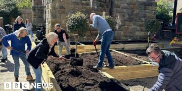 Wellbeing garden opens to combat isolation
