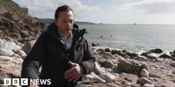 Wetter winter and warmer summer hit marine life