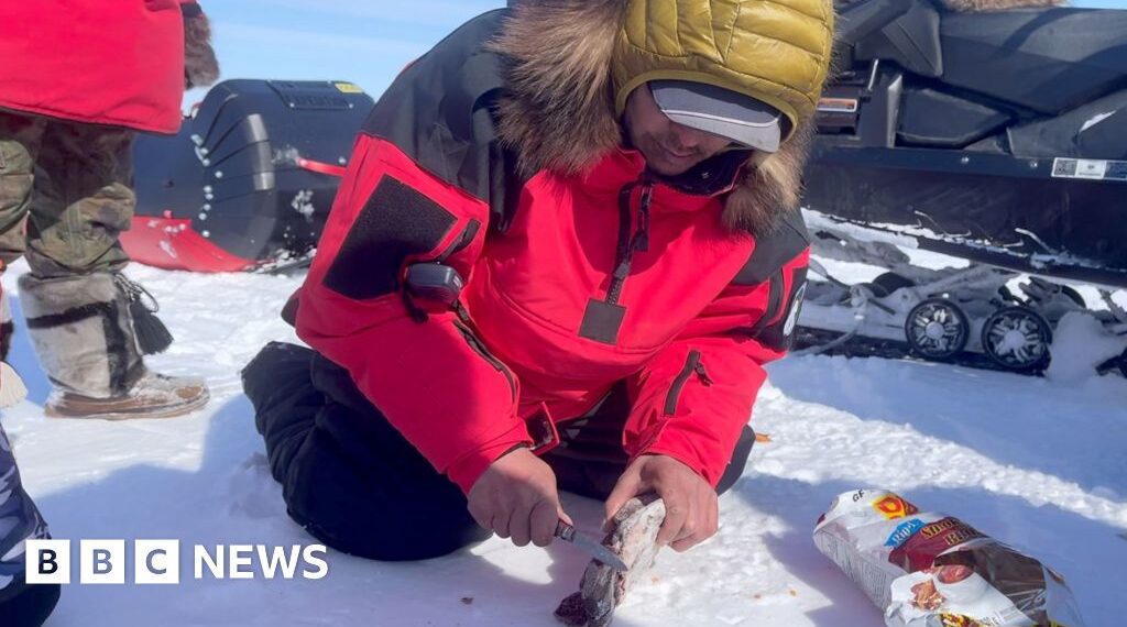 What does it take to survive in the Arctic's extreme weather?