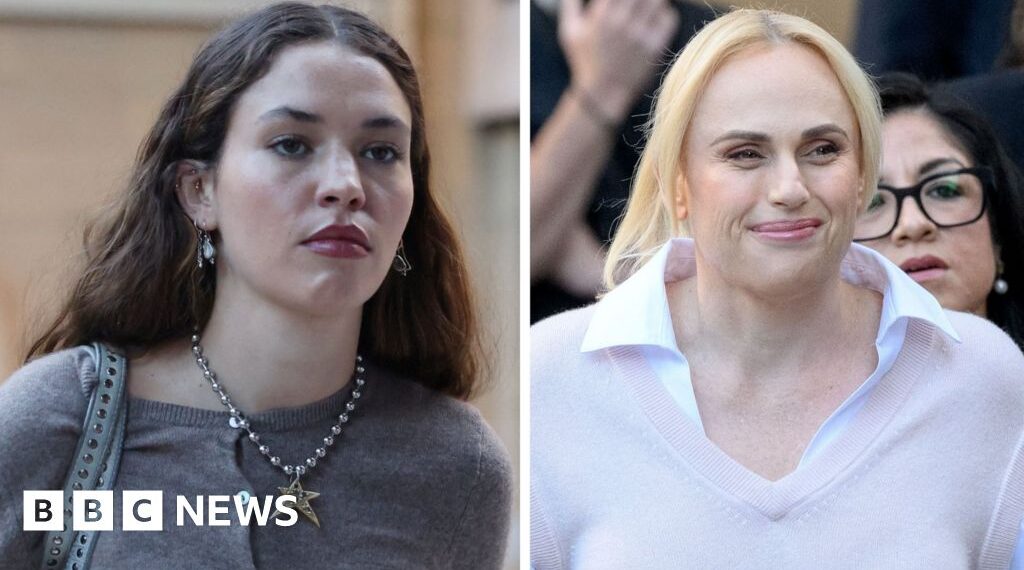 What happened when Rebel Wilson gave evidence in court?