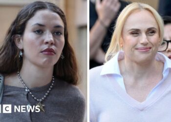 What happened when Rebel Wilson gave evidence in court?