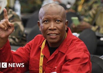 What next for South African opposition firebrand Malema after his five-year prison sentence?