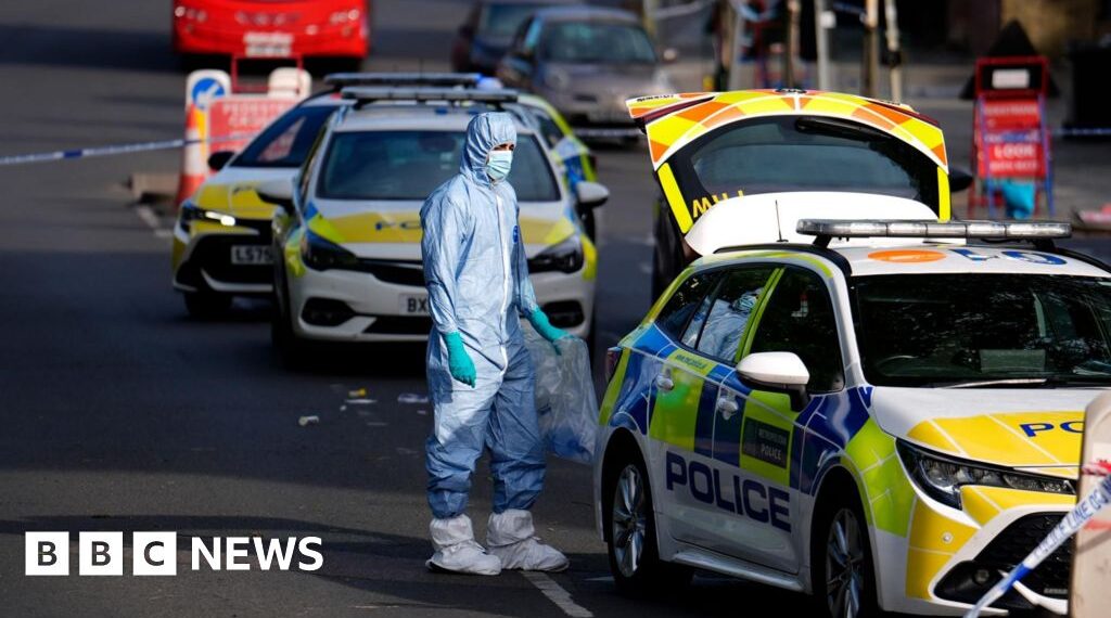 What we know about the Golders Green stabbings