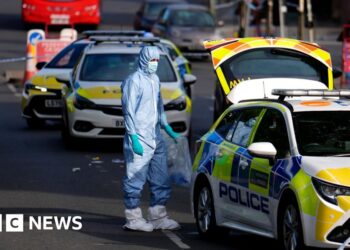 What we know about the Golders Green stabbings