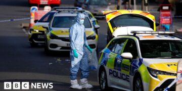 What we know about the Golders Green stabbings