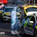 What we know about the Golders Green stabbings
