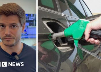 When will fuel prices go down?