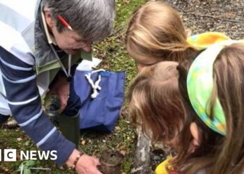 Where, when and how can you get involved in IOM wildlife week?