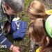 Where, when and how can you get involved in IOM wildlife week?
