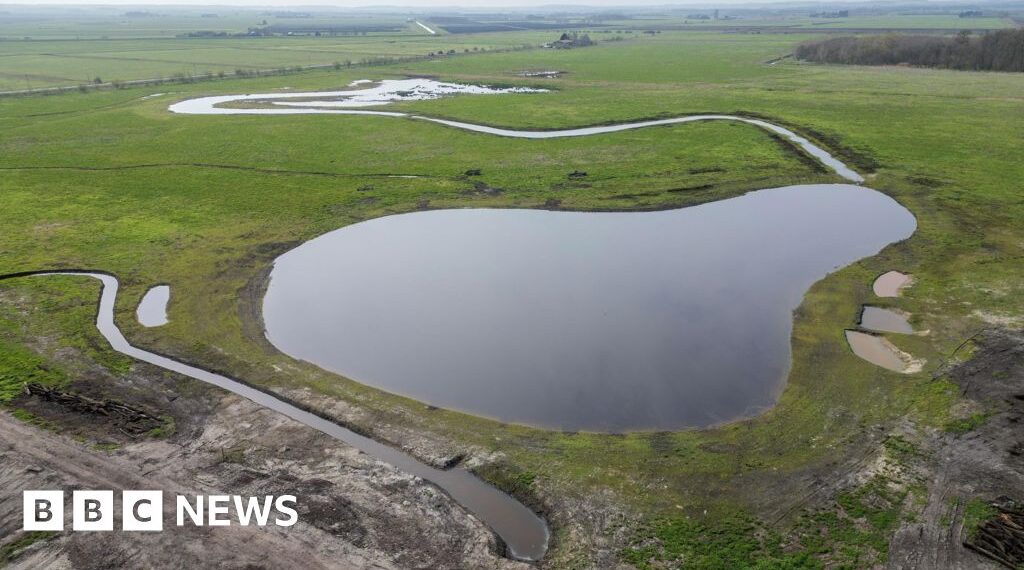 Wildlife arriving at newly created wetland