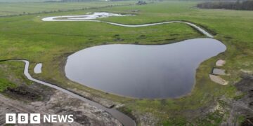 Wildlife arriving at newly created wetland