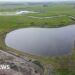 Wildlife arriving at newly created wetland