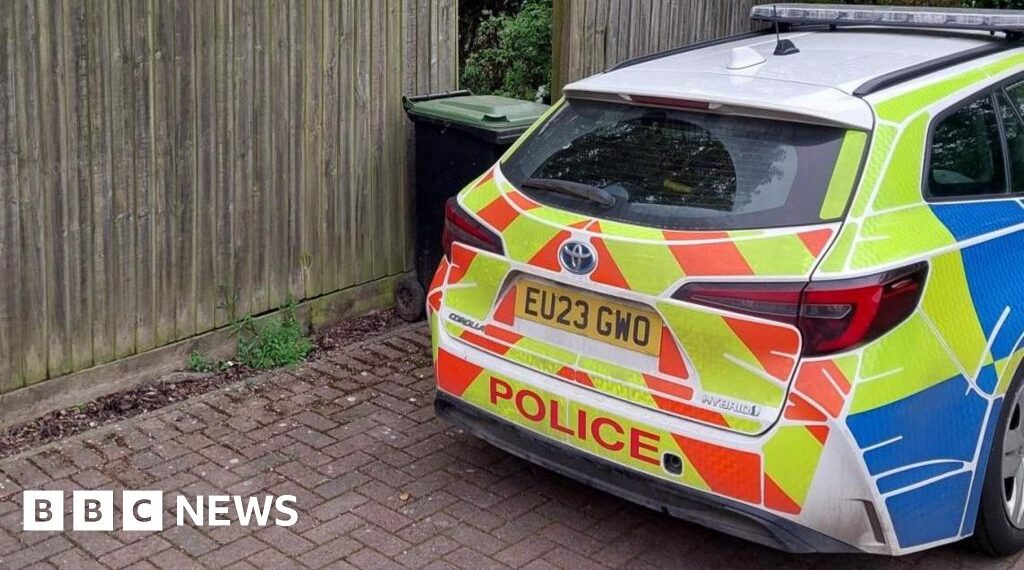 Woman, 19, killed in dog attack at house