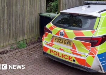 Woman, 19, killed in dog attack at house