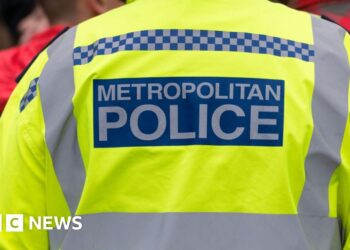 Woman and child die after getting into difficulty in water at London park