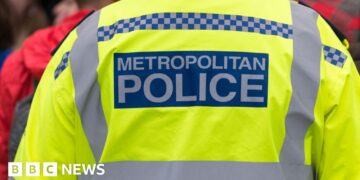 Woman and child die after getting into difficulty in water at London park