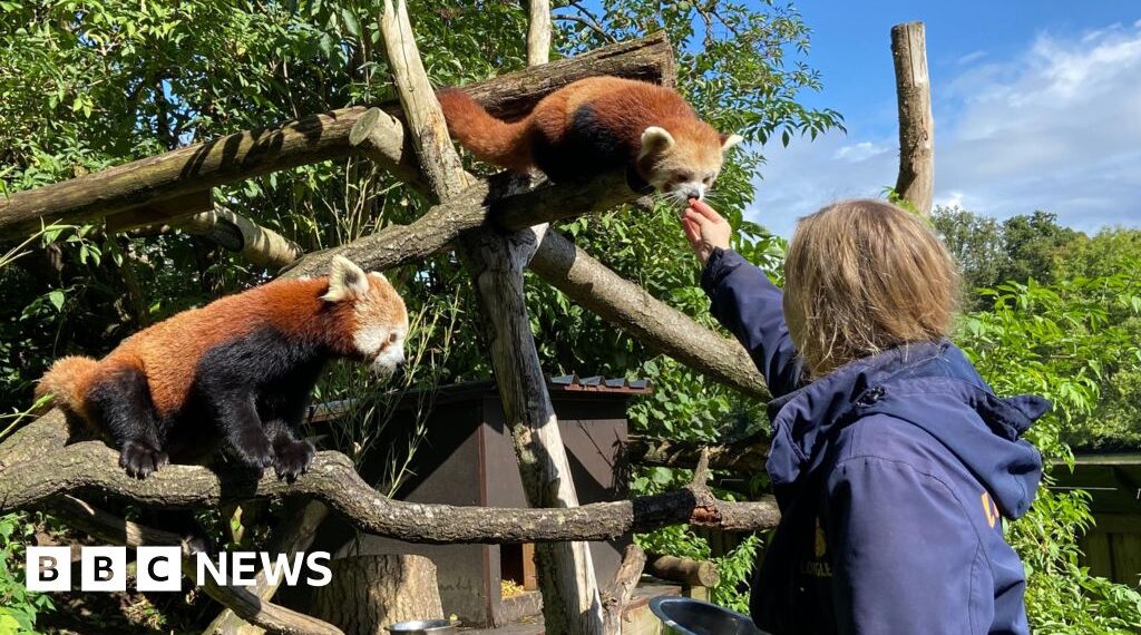World's first safari park celebrates 60 years