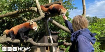 World's first safari park celebrates 60 years