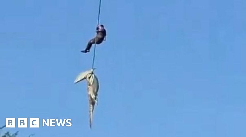'I had to stick to the plan': Officer describes retrieving crocodile with human remains inside