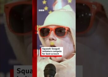 Seagull imitators compete for best screech at European championships. #Seagull #Belgium #BBCNews