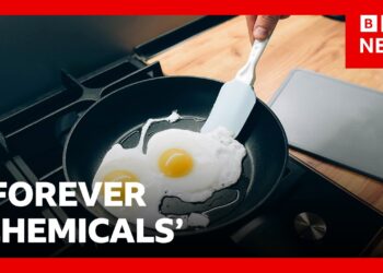 Ban ‘forever chemicals’ in uniforms and frying pans, UK MPs urge | BBC News