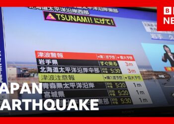 Second, bigger tsunami may hit after earthquake off north-east coast, Japan says | BBC News
