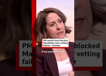 PM would have blocked Mandelson over vetting failure says minister. #BBCNews