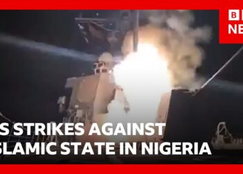 US launches strikes against Islamic State in Nigeria | BBC News