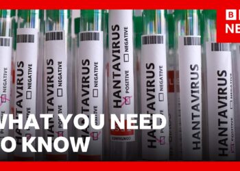 What you need to know about Hantavirus | BBC News