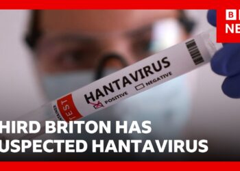 Third British national has suspected hantavirus in connection with outbreak on MV Hondius | BBC News
