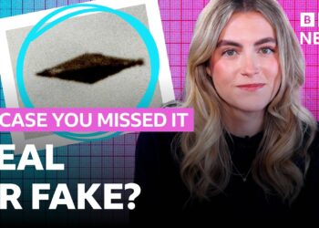 The story of the Calvine UFO photograph | In Case You Missed It