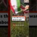 Is the US-Iran war about to end? #US #Iran #IranWar #StraitOfHormuz #BBCNews