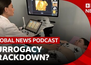 Why Ukraine may restrict its booming surrogacy business | Global News Podcast