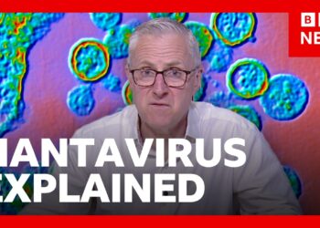 What is hantavirus and how is it spread? | BBC News