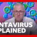 What is hantavirus and how is it spread? | BBC News