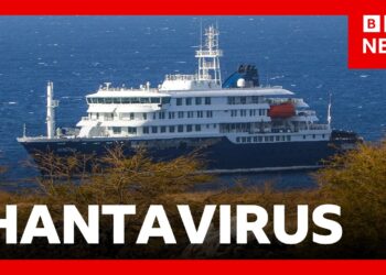 Second hantavirus case confirmed after three die in suspected cruise ship outbreak | BBC News