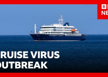 Three dead in suspected hantavirus outbreak on Atlantic cruise ship | BBC News