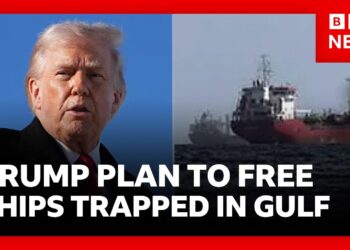 Trump says US will free ships stranded in strait of Hormuz | BBC News